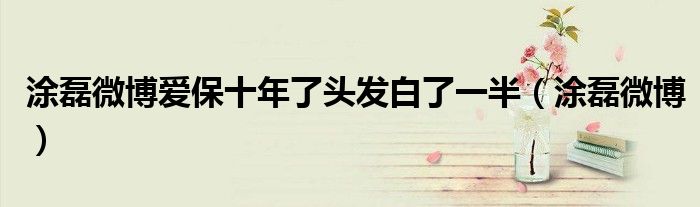 涂磊微博爱保十年了头发白了一半（涂磊微博）