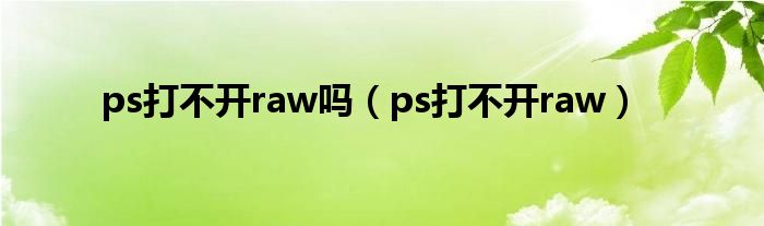 ps打不开raw吗（ps打不开raw）
