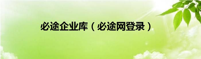 必途企业库（必途网登录）