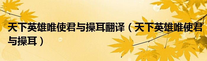 天下英雄唯使君与操耳翻译（天下英雄唯使君与操耳）