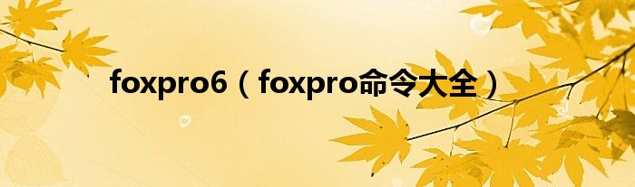foxpro6（foxpro命令大全）