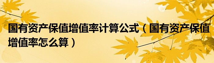 国有资产保值增值率计算公式（国有资产保值增值率怎么算）