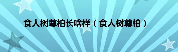 食人树尊柏长啥样（食人树尊柏）