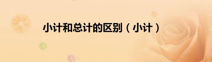 小计和总计的区别（小计）
