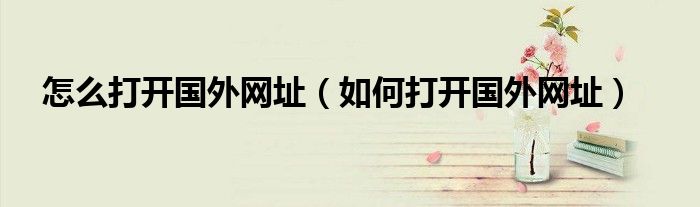 怎么打开国外网址（如何打开国外网址）