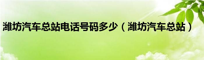潍坊汽车总站电话号码多少（潍坊汽车总站）