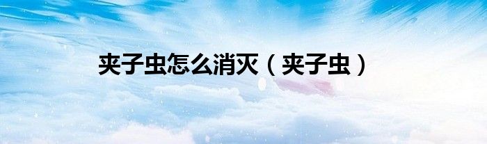 夹子虫怎么消灭（夹子虫）
