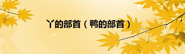 丫的部首（鸭的部首）