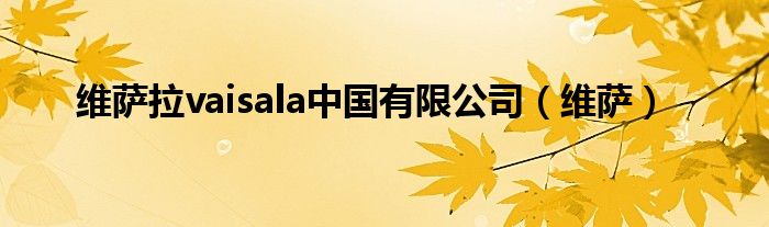 维萨拉vaisala中国有限公司（维萨）