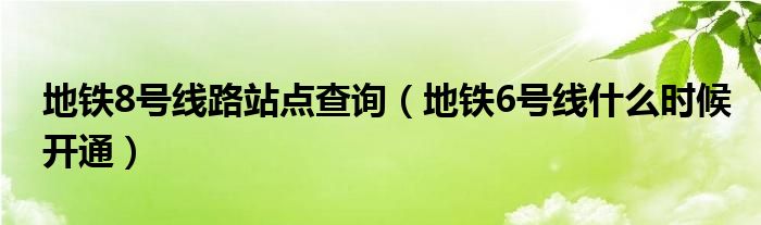 地铁8号线路站点查询（地铁6号线什么时候开通）