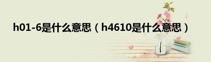 h01-6是什么意思（h4610是什么意思）