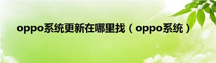 oppo系统更新在哪里找（oppo系统）
