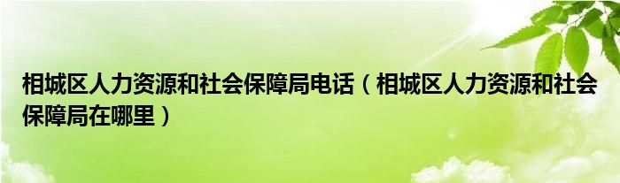 相城区人力资源和社会保障局电话（相城区人力资源和社会保障局在哪里）