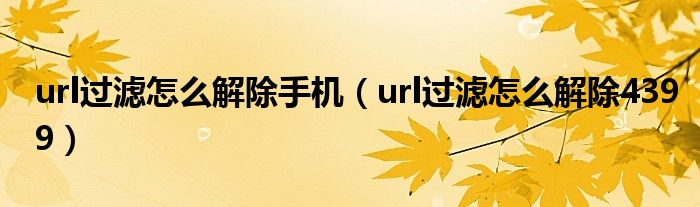 url过滤怎么解除手机（url过滤怎么解除4399）