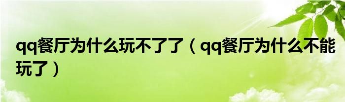 qq餐厅为什么玩不了了（qq餐厅为什么不能玩了）