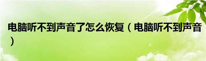 电脑听不到声音了怎么恢复（电脑听不到声音）