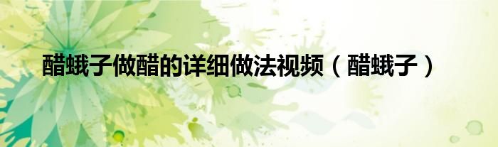 醋蛾子做醋的详细做法视频（醋蛾子）