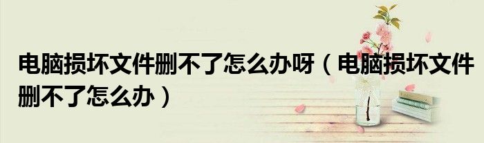 电脑损坏文件删不了怎么办呀（电脑损坏文件删不了怎么办）