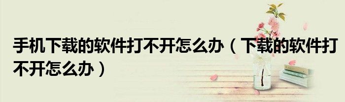 手机下载的软件打不开怎么办（下载的软件打不开怎么办）