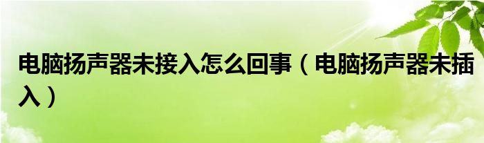 电脑扬声器未接入怎么回事（电脑扬声器未插入）