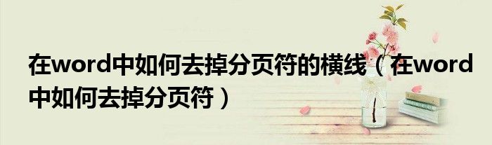 在word中如何去掉分页符的横线（在word中如何去掉分页符）