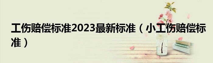 工伤赔偿标准2023最新标准（小工伤赔偿标准）