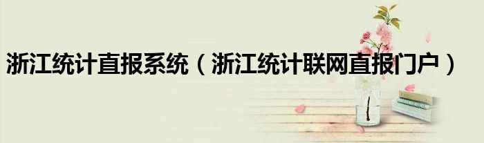 浙江统计直报系统（浙江统计联网直报门户）