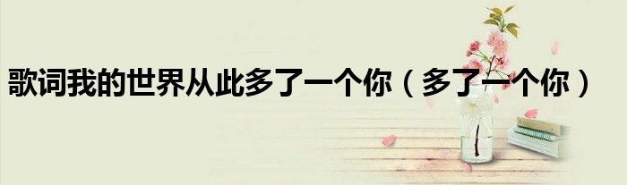歌词我的世界从此多了一个你（多了一个你）