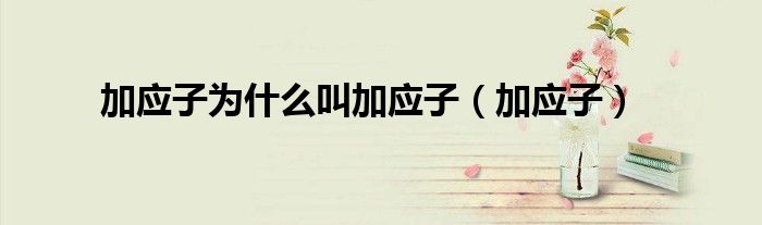加应子为什么叫加应子（加应子）