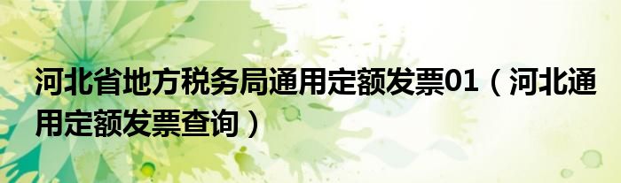 河北省地方税务局通用定额发票01（河北通用定额发票查询）