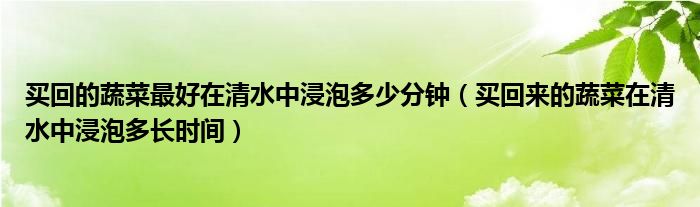 买回的蔬菜最好在清水中浸泡多少分钟（买回来的蔬菜在清水中浸泡多长时间）