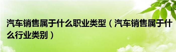 汽车销售属于什么职业类型（汽车销售属于什么行业类别）