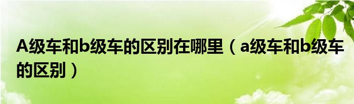 A级车和b级车的区别在哪里（a级车和b级车的区别）