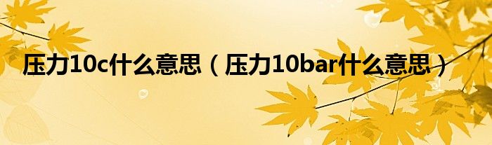 压力10c什么意思（压力10bar什么意思）