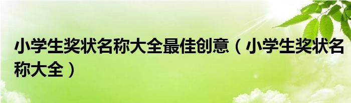 小学生奖状名称大全最佳创意（小学生奖状名称大全）