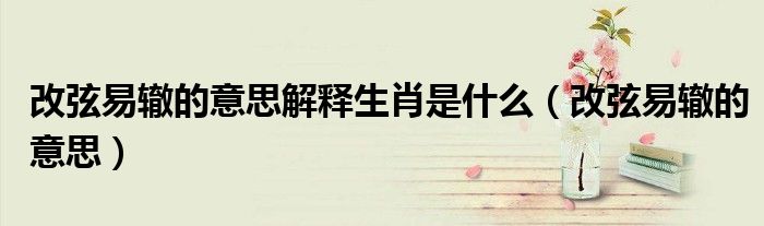 改弦易辙的意思解释生肖是什么（改弦易辙的意思）