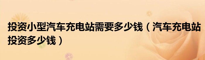 投资小型汽车充电站需要多少钱（汽车充电站投资多少钱）