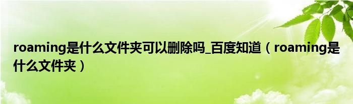 roaming是什么文件夹可以删除吗_百度知道（roaming是什么文件夹）