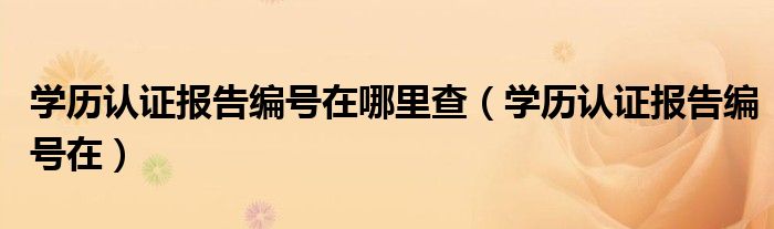 学历认证报告编号在哪里查（学历认证报告编号在）