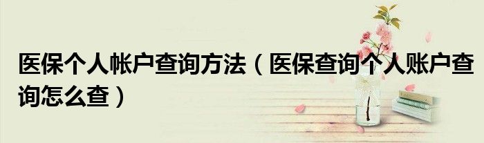 医保个人帐户查询方法（医保查询个人账户查询怎么查）