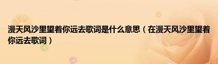 漫天风沙里望着你远去歌词是什么意思（在漫天风沙里望着你远去歌词）