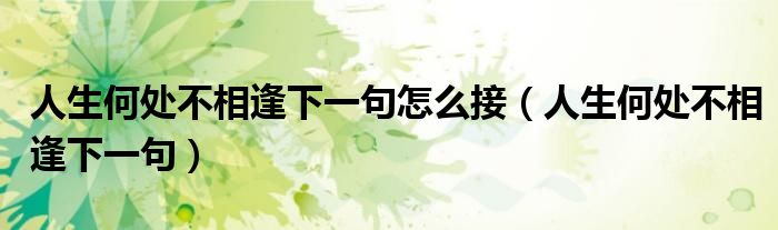 人生何处不相逢下一句怎么接（人生何处不相逢下一句）