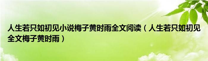 人生若只如初见小说梅子黄时雨全文阅读（人生若只如初见全文梅子黄时雨）