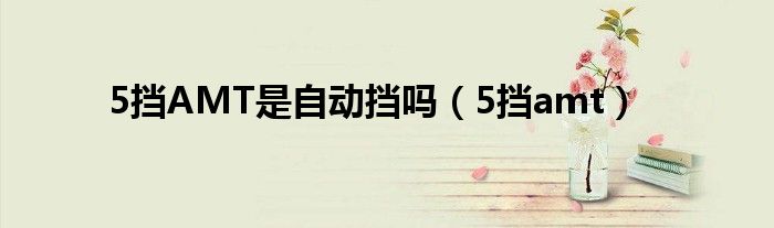 5挡AMT是自动挡吗（5挡amt）