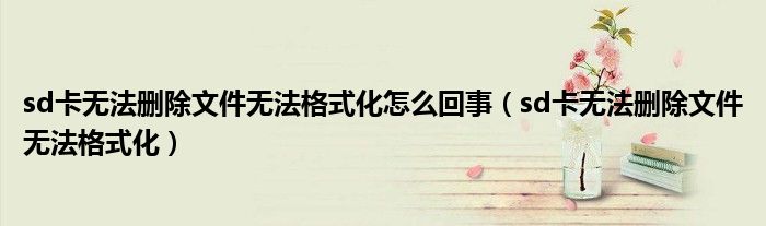 sd卡无法删除文件无法格式化怎么回事（sd卡无法删除文件无法格式化）