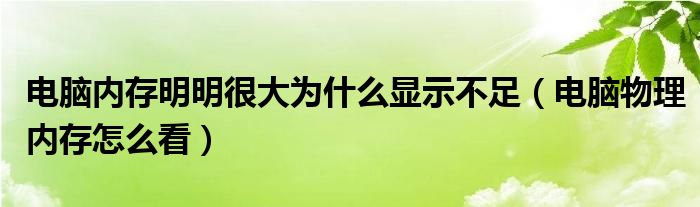电脑内存明明很大为什么显示不足（电脑物理内存怎么看）