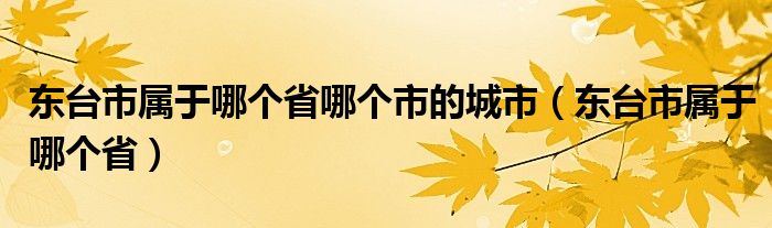 东台市属于哪个省哪个市的城市（东台市属于哪个省）