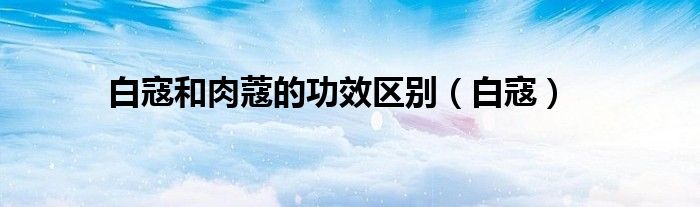 白寇和肉蔻的功效区别（白寇）