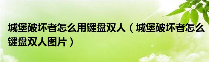 城堡破坏者怎么用键盘双人（城堡破坏者怎么键盘双人图片）