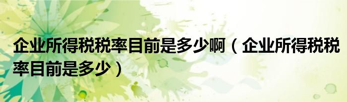 企业所得税税率目前是多少啊（企业所得税税率目前是多少）